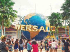 The Walking Dead – Series